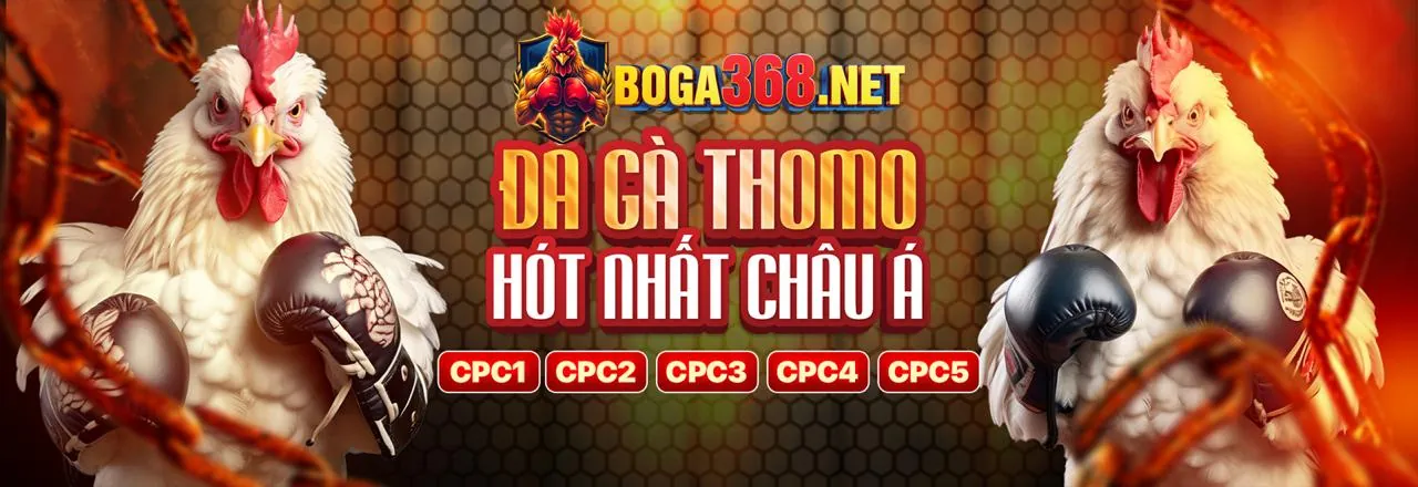 Đá gà trực tuyến trên 777king99 app